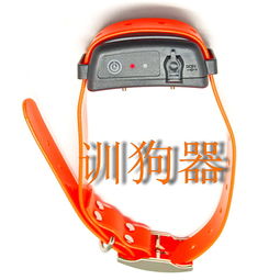 遙控充電防水訓狗器 現代寵物訓練的智能之選